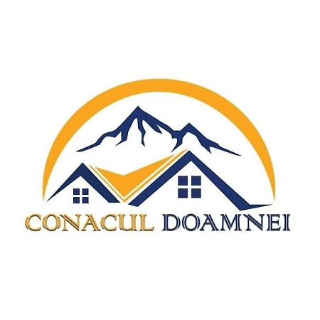 Villa Conacul Doamnei Corbi Exterior foto